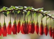 雷火电竞充值-双重奏，辽宁关键战突围雷霆，保罗世界杯接管未来