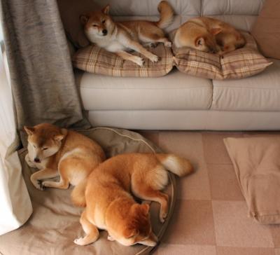 当石破天惊的米切尔，遇上沉默如铁的库里