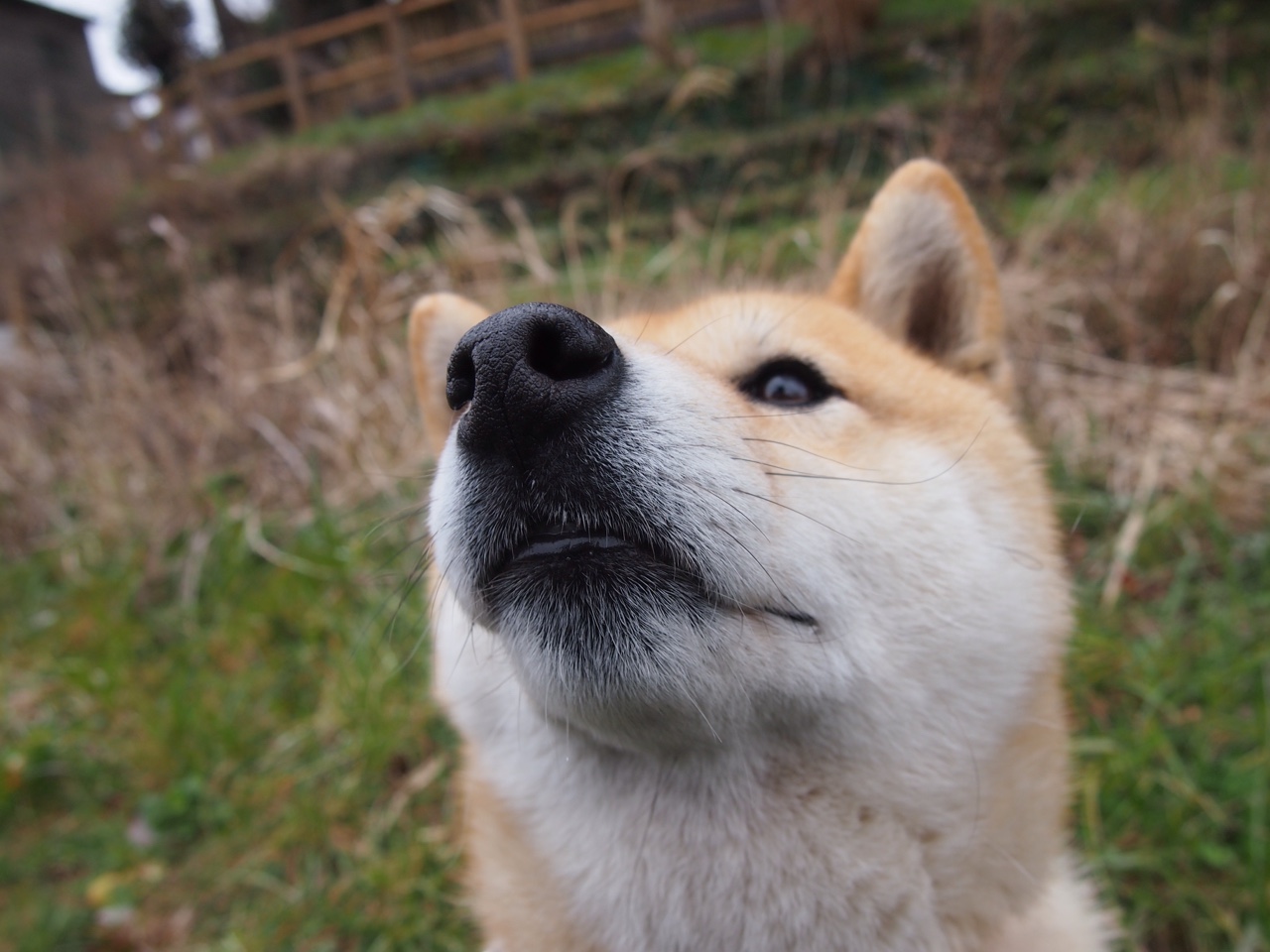 双重奏，辽宁关键战突围雷霆，保罗世界杯接管未来