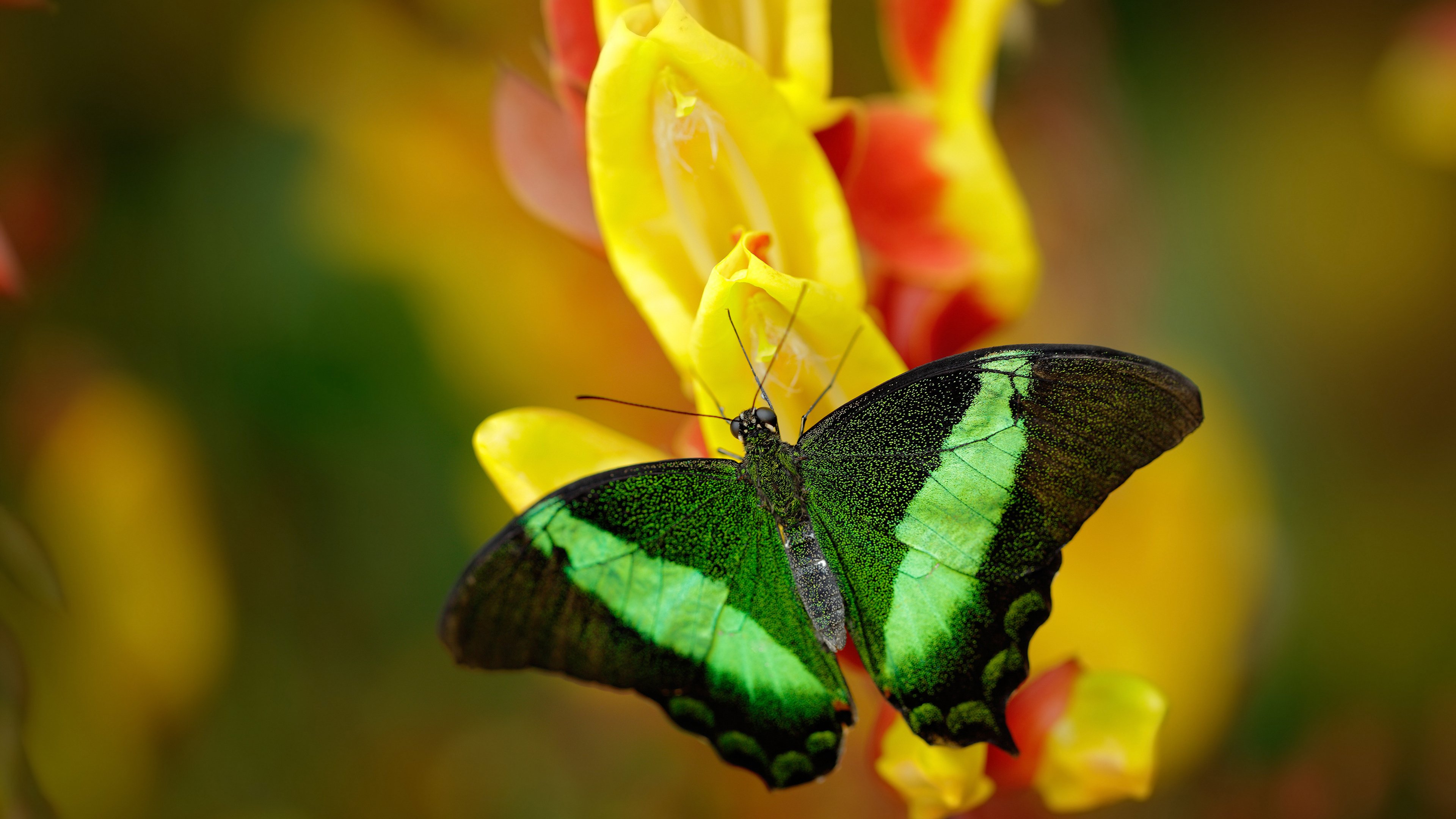 德里赫特之夜，在心跳间隙拉开致命距离