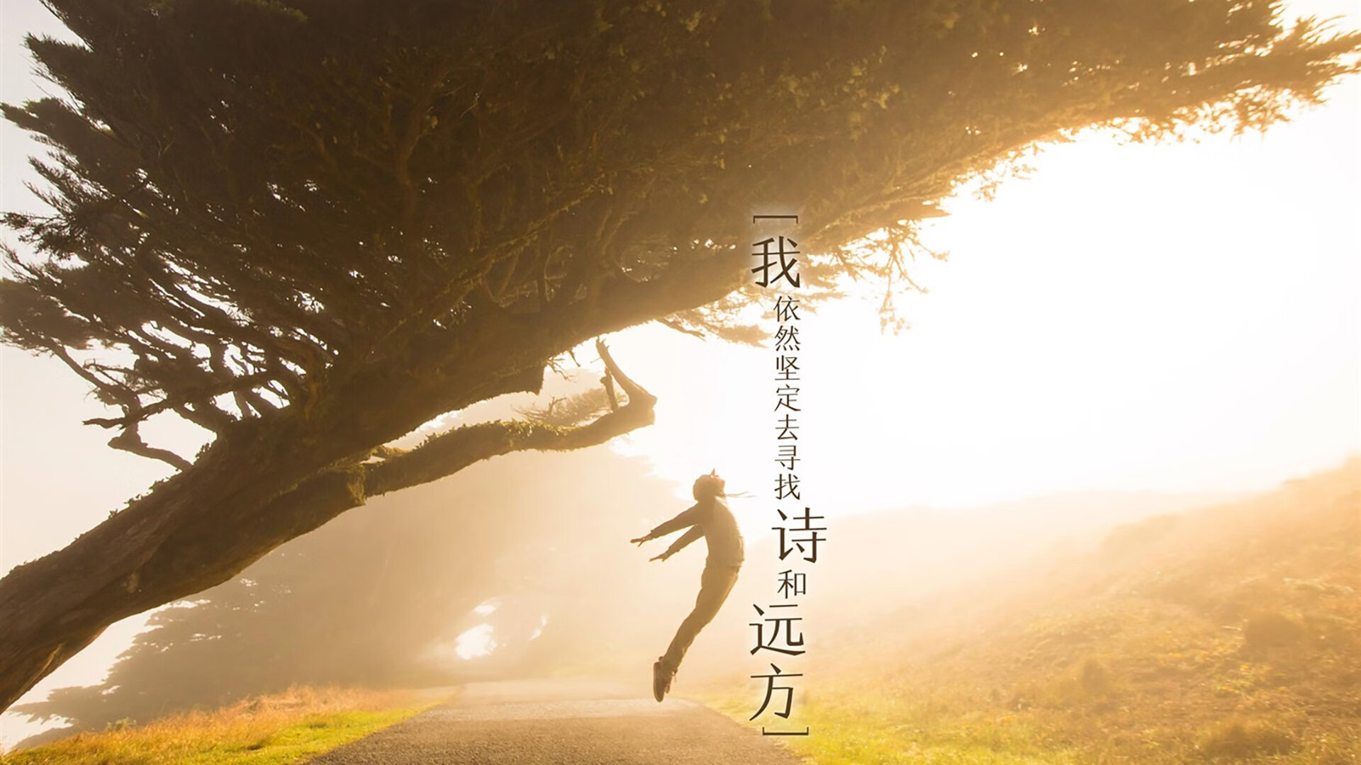 枫叶风暴席卷钟表王国,2026世界杯F组焦点战加拿大横扫瑞士,内马尔化身雪境领主